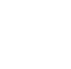 俄罗斯阿列赫姆国立大学 国际化科研环境